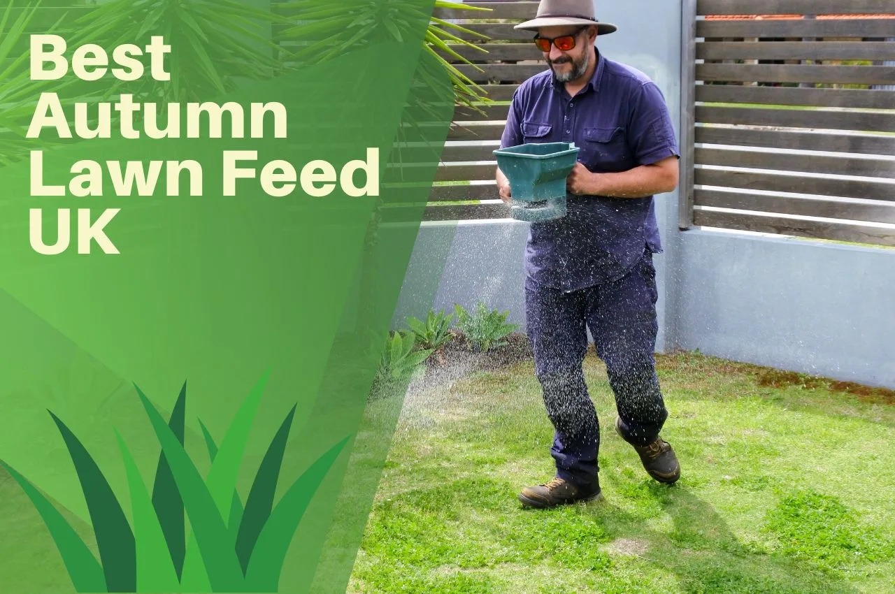 Best Autumn Lawn Feed UK June 2024 The Turf Doctor