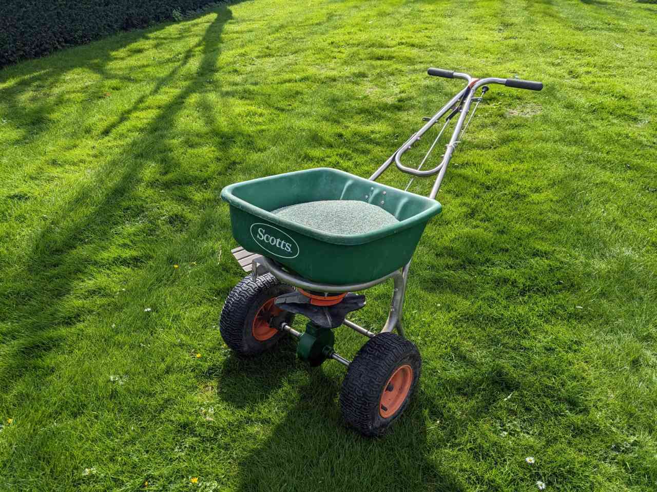 Best Autumn Lawn Feed UK June 2024 The Turf Doctor