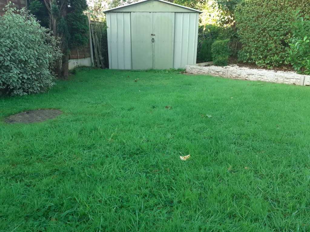 Unmown lawn with shed