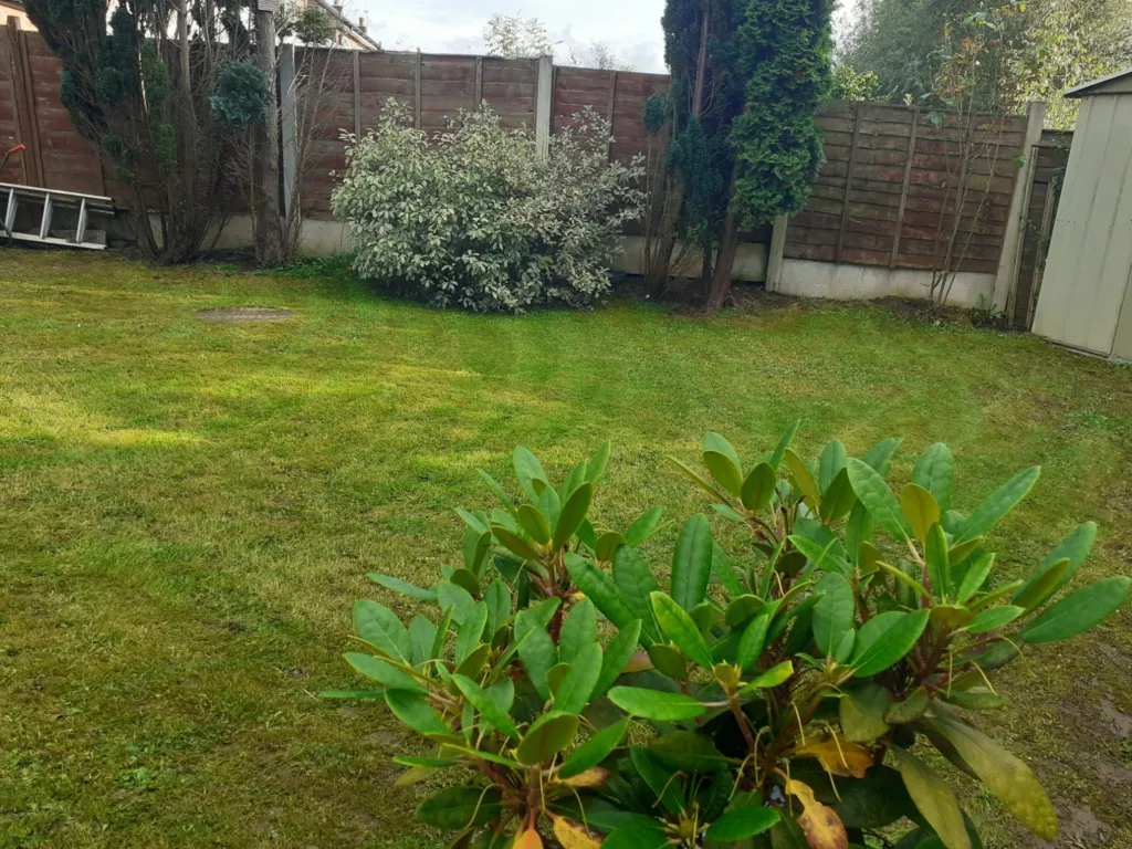 Lawn with hedge border