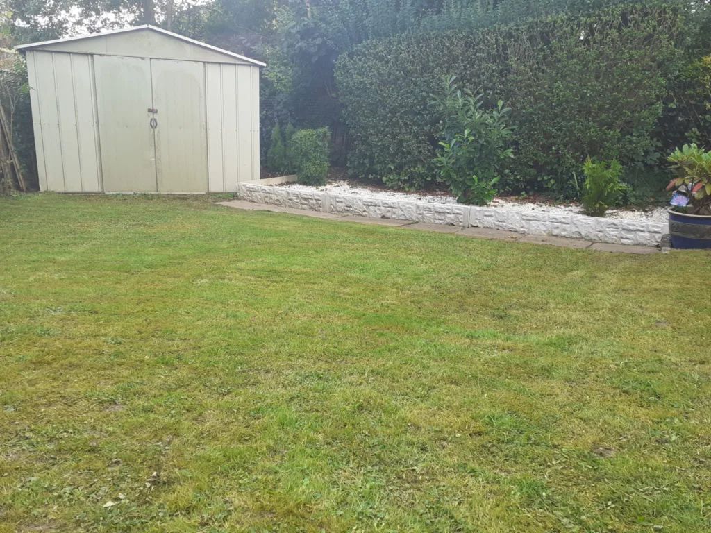 Our mown lawn with shed