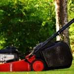 lawn mower, gardening, mow-1593900.jpg