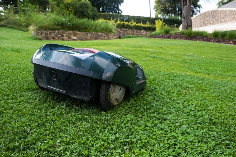 lawn mower, robot, grass-414249.jpg
