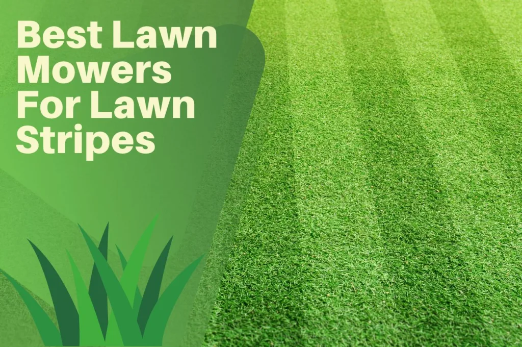 lawn, stripes, turf, grass, neat, mown,