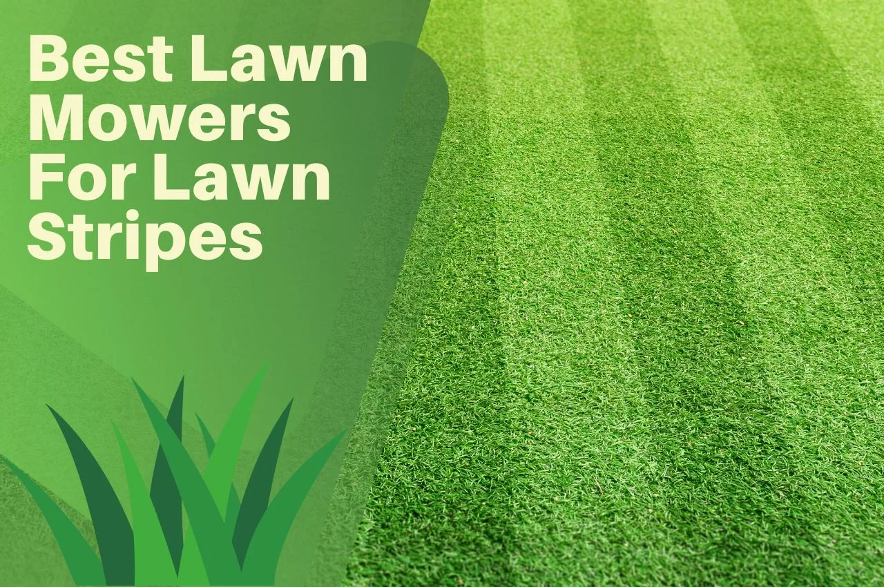 Best Lawn Mowers For Lawn Stripes The Turf Doctor