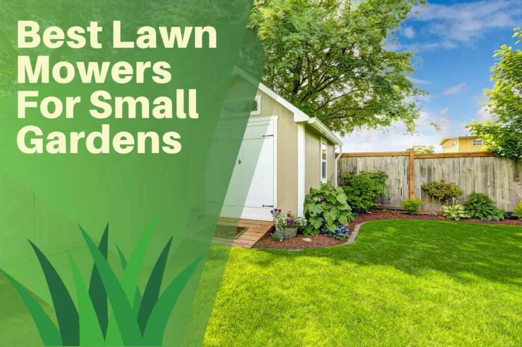 Best, Lawn, Mowers, For, Small, Gardens,