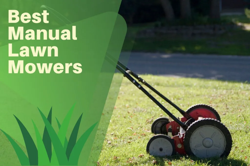 manual, lawn, mower, grass, cutting, turf, garden,