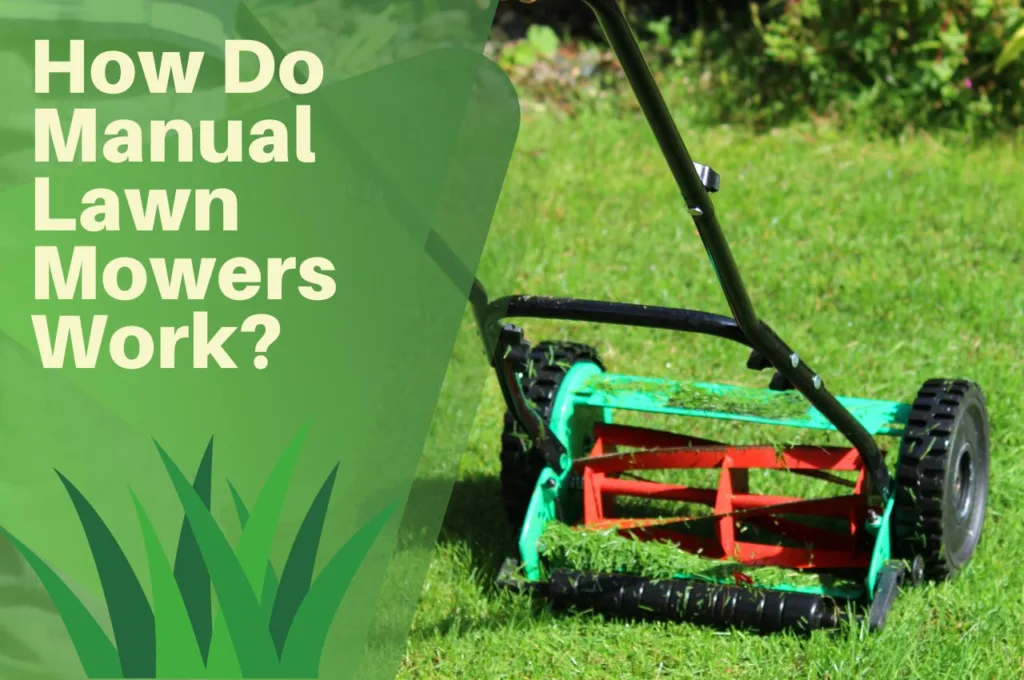 Manual, lawn, mower, grass, garden, lawn,