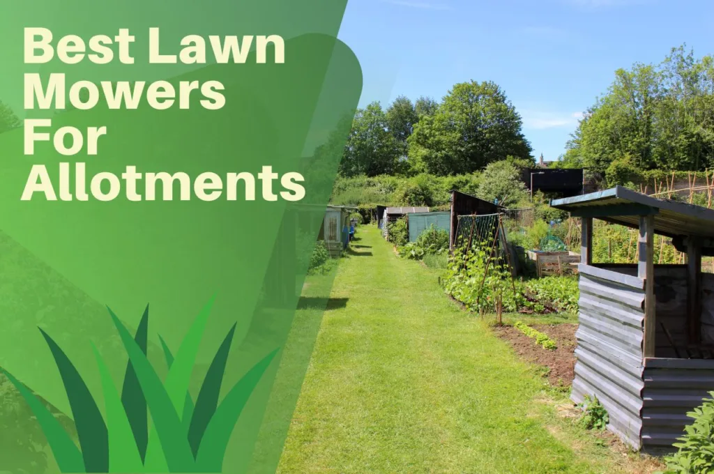 best, lawn, mower, for, allotments,