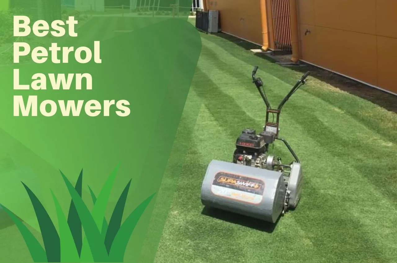 Best Petrol Lawn Mowers UK April 2024 The Turf Doctor