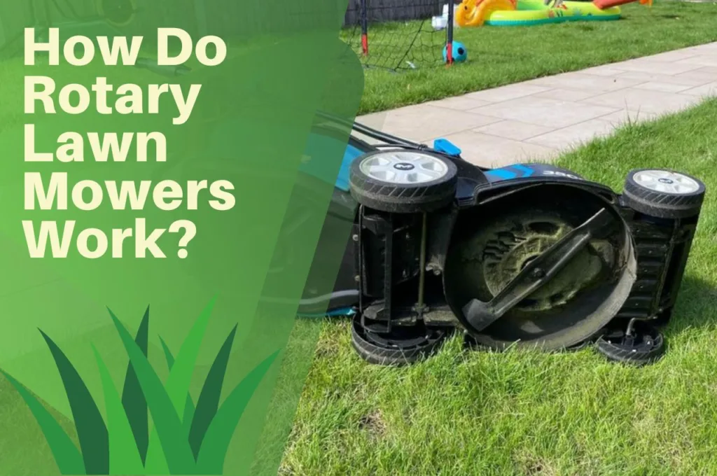 Rotary, lawn, mower, on, side, grass,