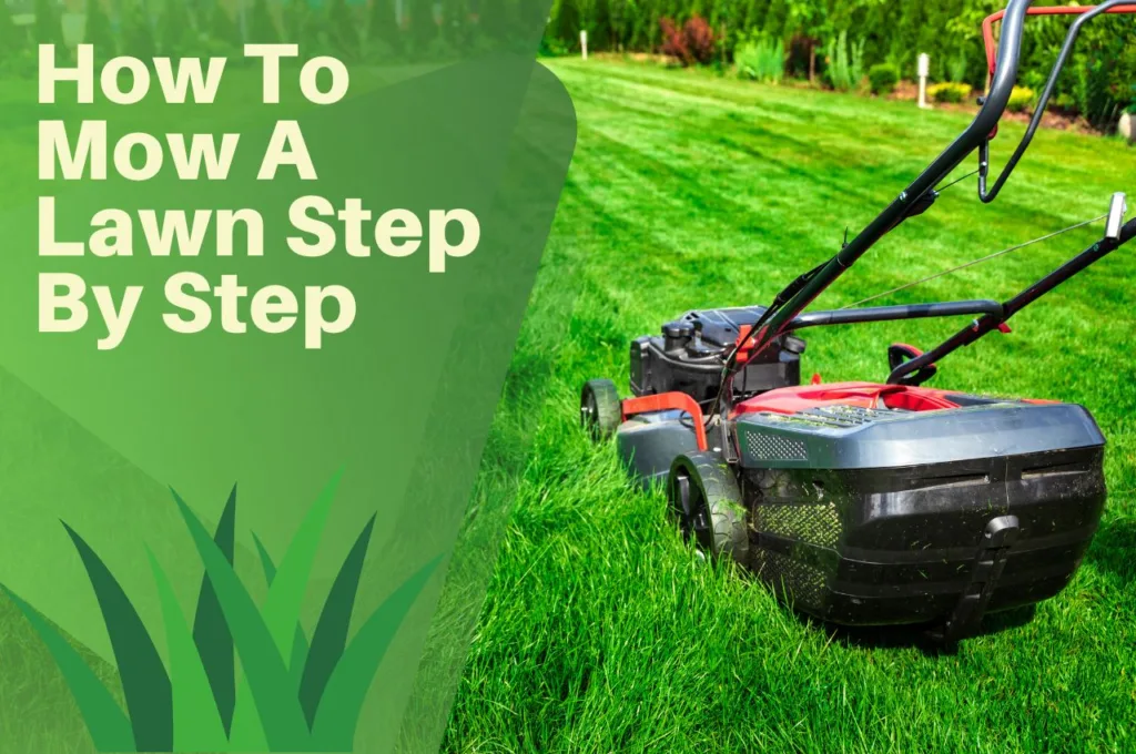 How, To, Mow, A, Lawn, Step, By, Step,