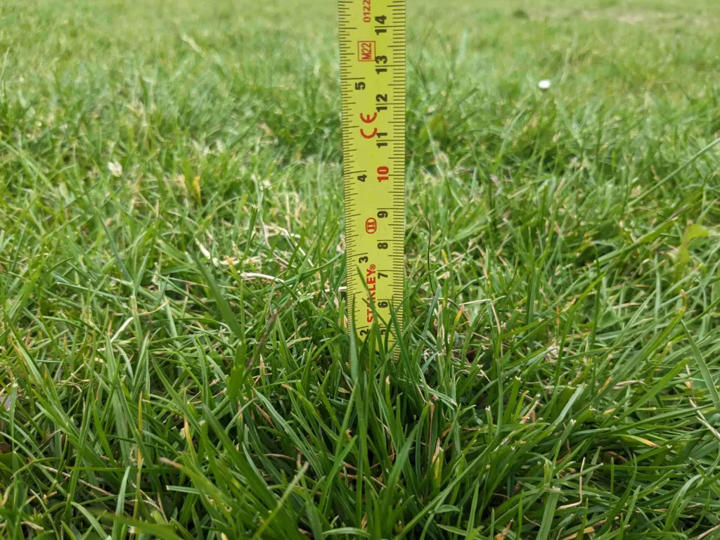 tape, measure, long, grass, lawn,