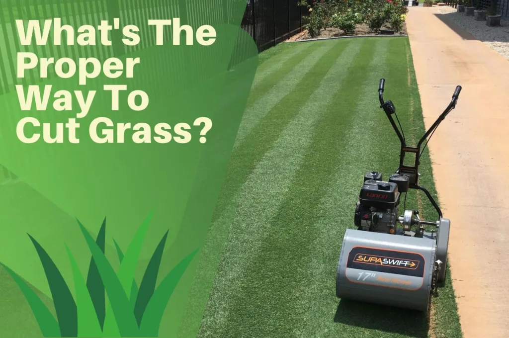 What's, The, Proper, Way, To, Cut, Grass?,