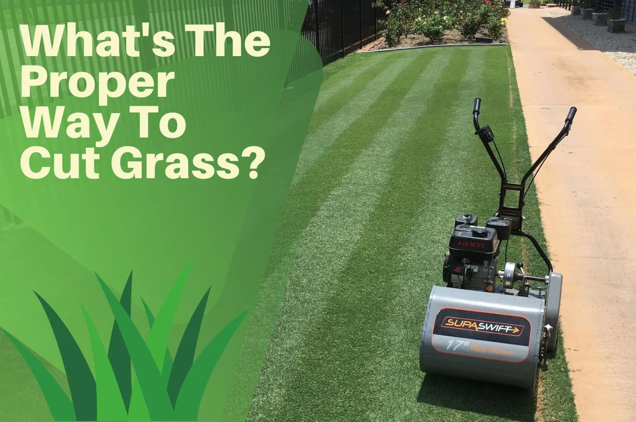 What's The Proper Way To Cut Grass? 8 Best Lawn Mowing Tips For A Tidy