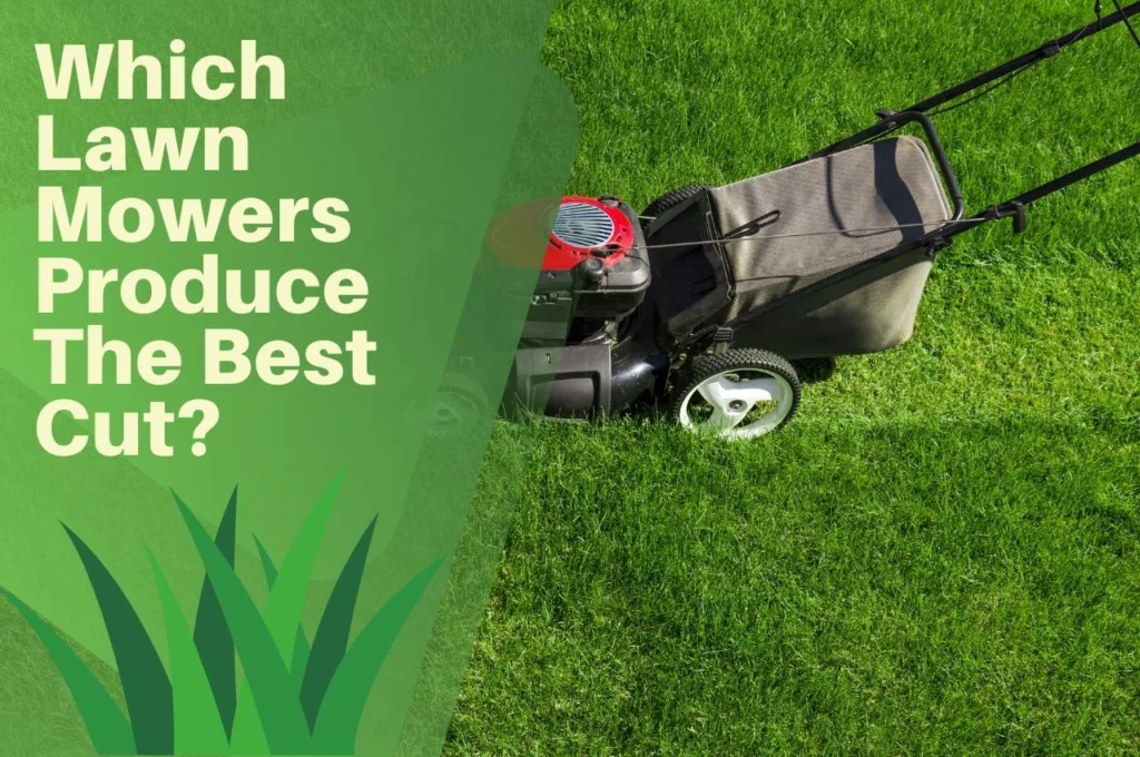 Which, Lawn, Mowers, Produce, The, Best, Cut?,