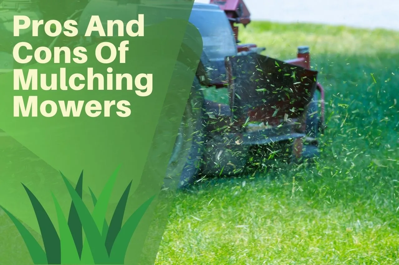 Pros And Cons Of Mulching Mowers (UK) The Turf Doctor