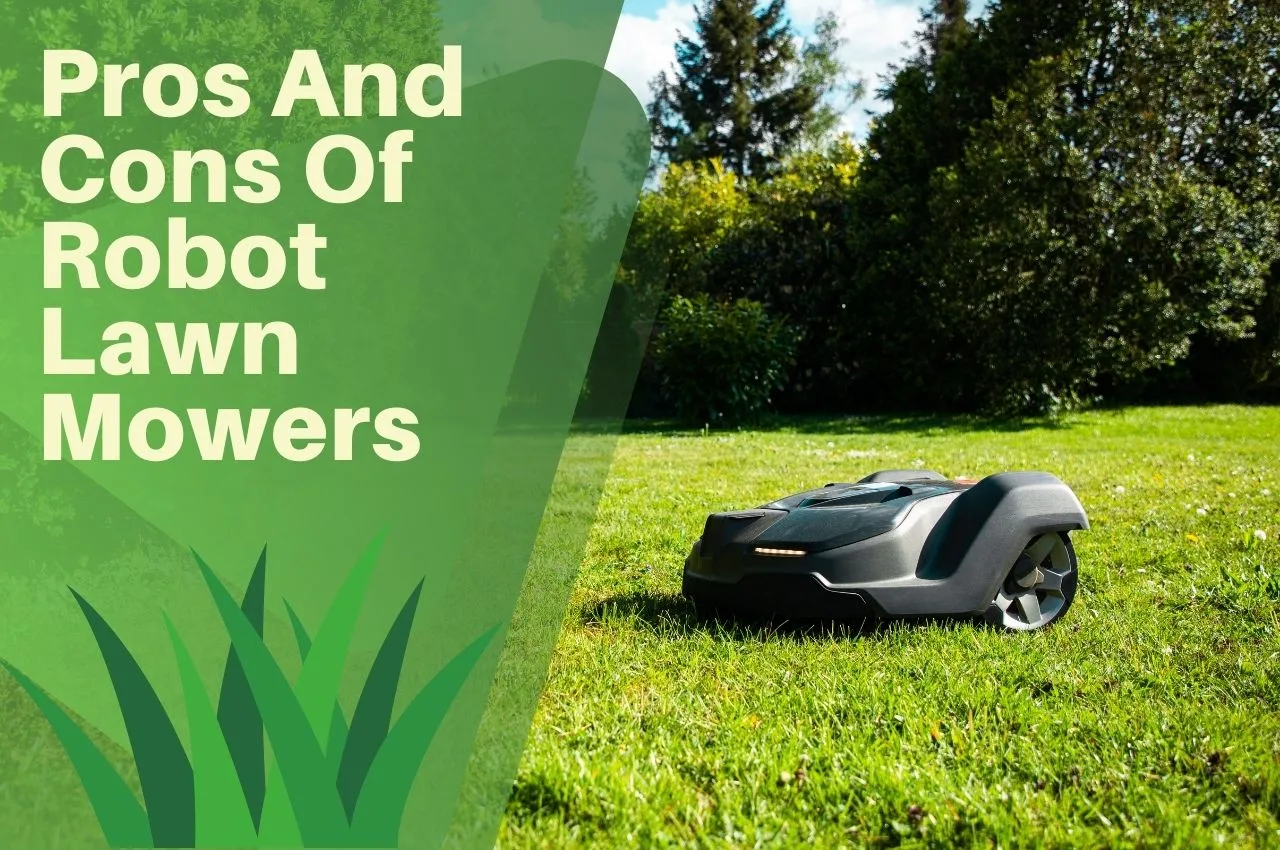 Pros And Cons Of Robot Lawn Mowers The Turf Doctor