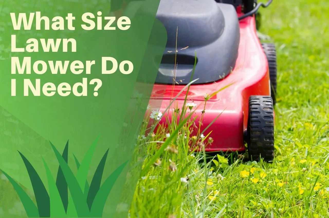 What Size Lawn Mower Do I Need? The Turf Doctor