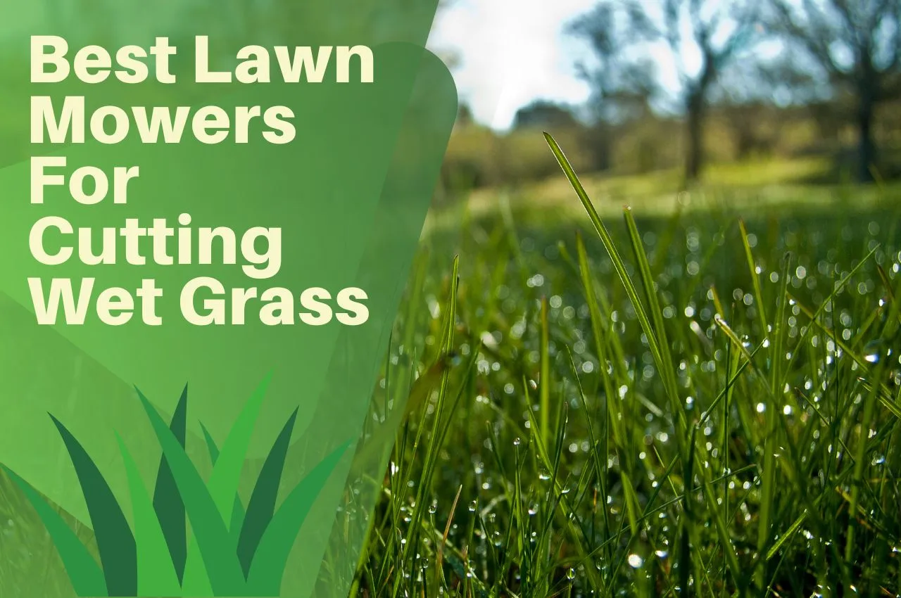 Best Lawn Mowers For Cutting Wet Grass UK January 2024 The Turf Doctor
