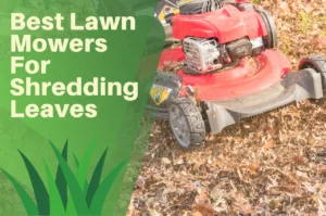 best, lawn, mowers, collecting, leaves, shreading,