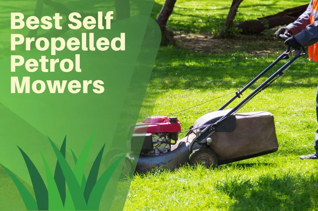 Best Self Propelled Petrol Mowers For UK Lawns July 2024 The Turf Doctor