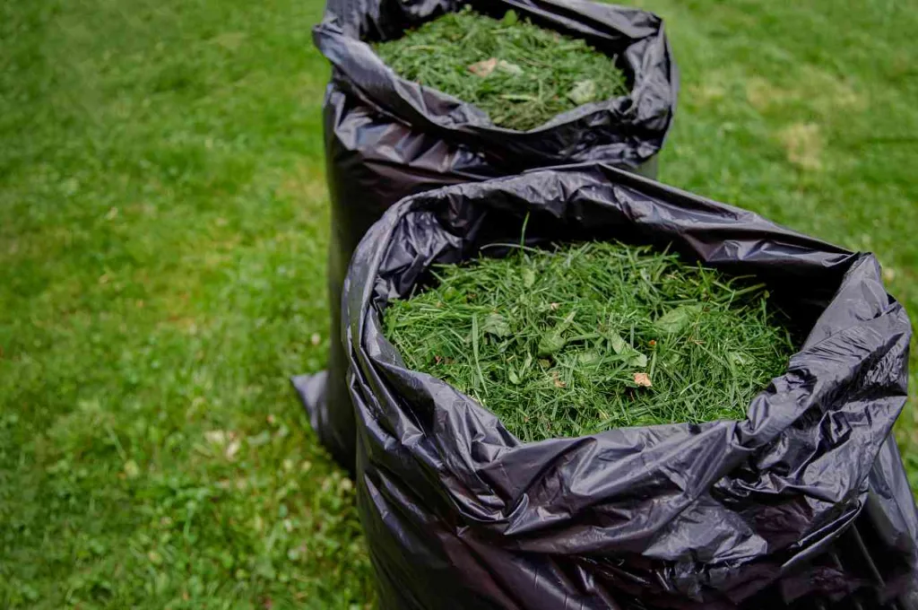bin, bags, grass, clippings, collected, lawn,
