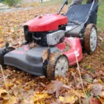lawn, mower, mulching, collecting, leaves, leaf,