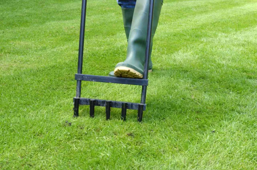 lawn, aeration, hand, tool, wellington, boots. grass, turf,