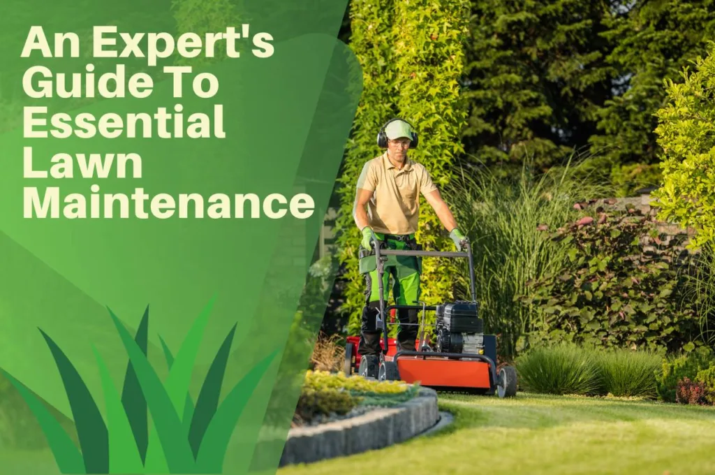 lawn, maintenance, scarification, turf, grass, hedges, boarders, shrubs, paths,