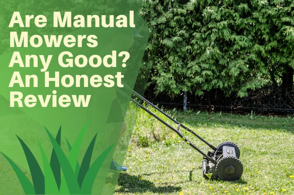 manual, lawn, mower, cutting, lawn, child, dad, grass, truf, hedge,