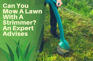 strimming, lawn, turf, weed wacker, whippy, strimmer, grass,
