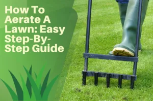aerating, lawn, fork, aerator, person, turf, grass,