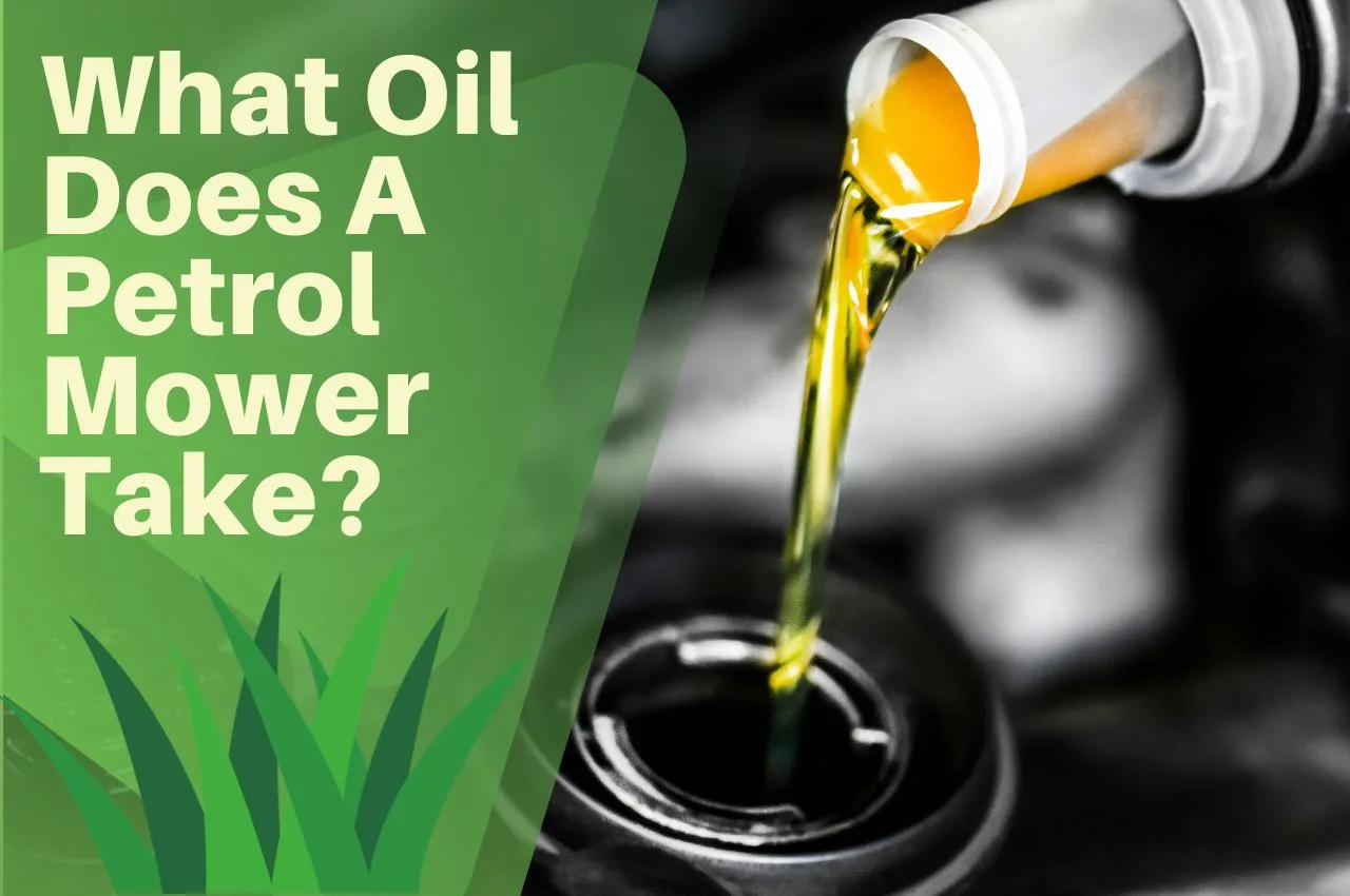 What Oil Does A Petrol Mower Take? - The Turf Doctor