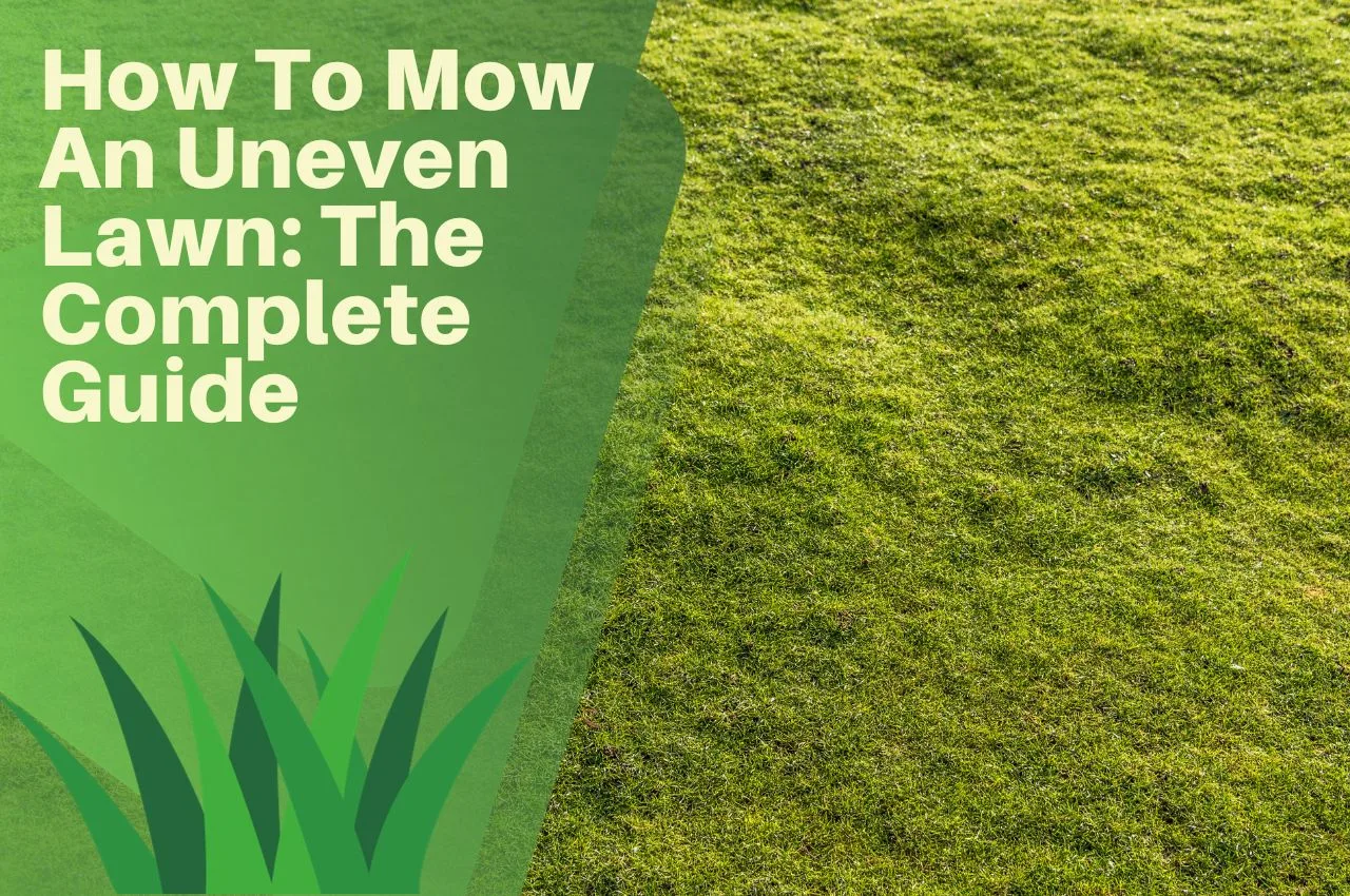 How To Mow An Uneven Lawn The Complete Guide The Turf Doctor how-to-mow-an-uneven-lawn-the-complete-guide-the-turf-doctor