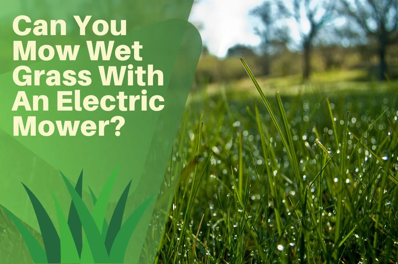 Can You Mow Wet Grass With An Electric Mower? The Turf Doctor
