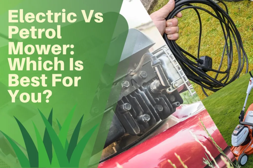 electric, vs, petrol, lawn, mower, grass, turf,