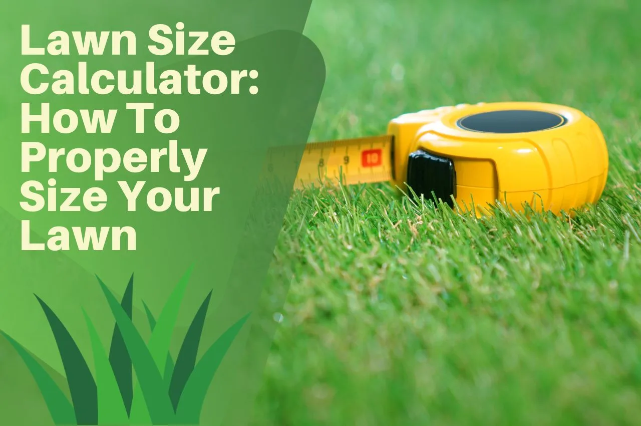 Lawn Size Calculator: How To Properly Size Your Lawn - The Turf Doctor