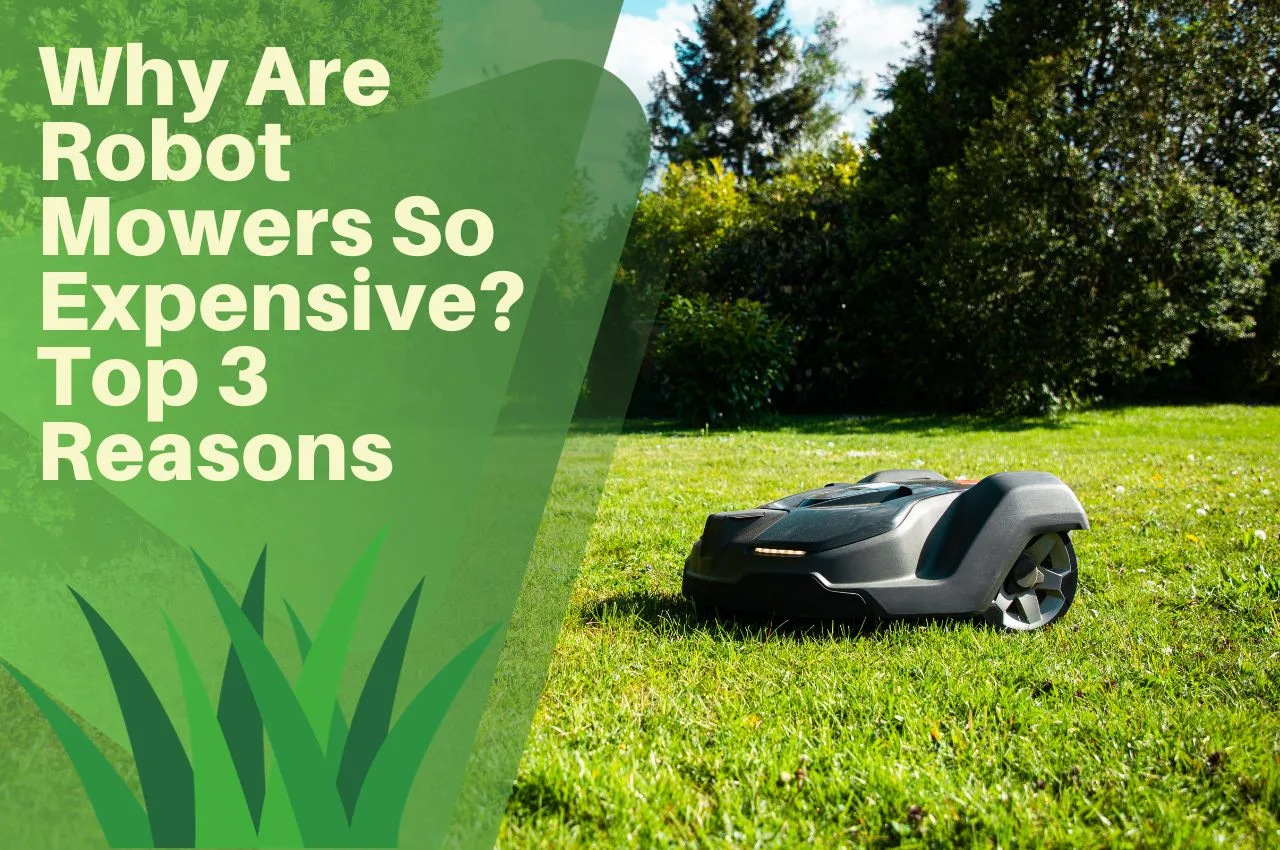 Why Are Robot Mowers So Expensive? Top 3 Reasons The Turf Doctor