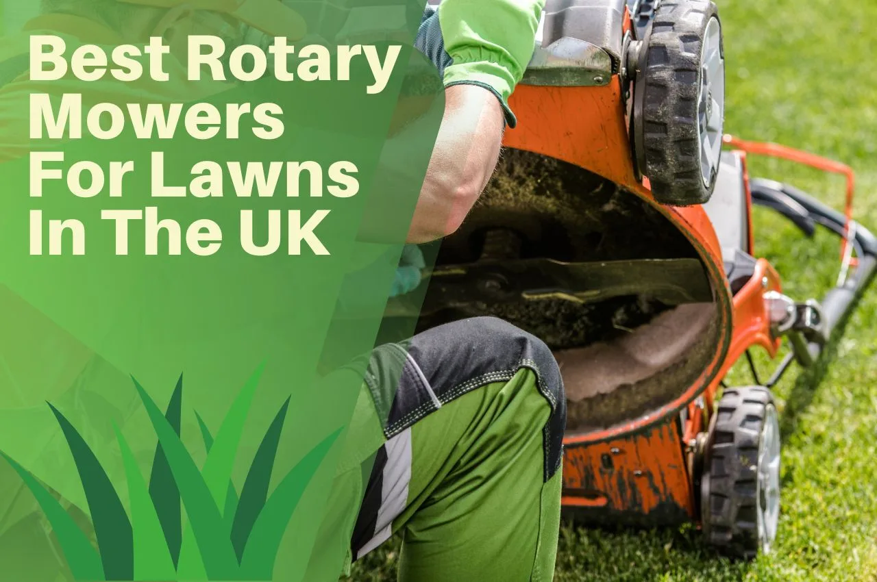 Best Rotary Mowers For Lawns In The UK February 2024 The Turf Doctor