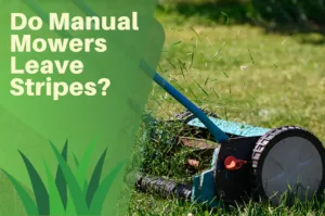 manual, lawn, mower, turf, grass, garden,