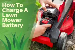 lawn, mower, battery, hands, charging, red,