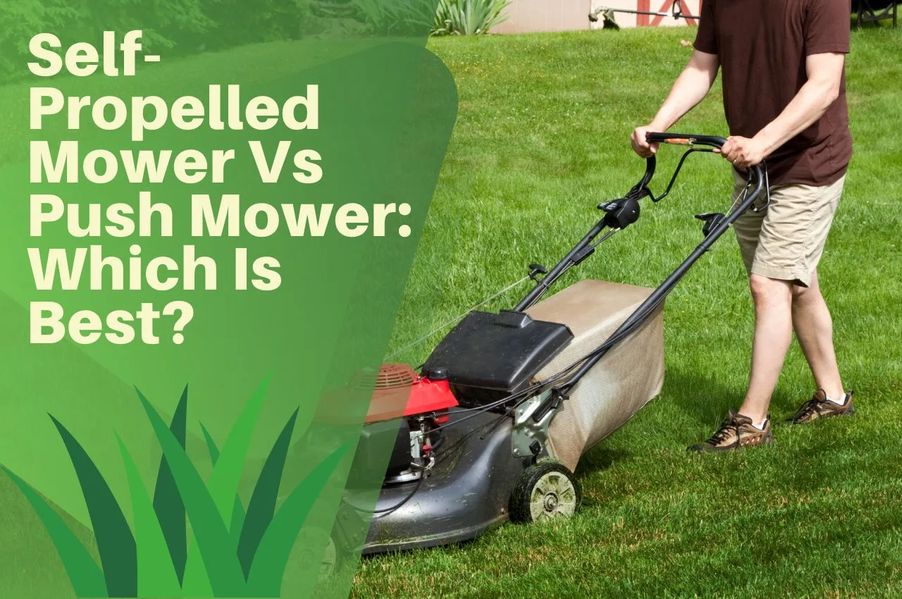 SelfPropelled Mower Vs Push Mower Which Is Best? The Turf Doctor