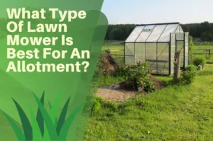 best, lawn, mower, allotment, greenhouse, shed, garden, patch, lawn, turf,