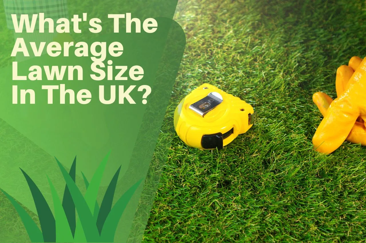 What s The Average Lawn Size In The UK The Turf Doctor what-s-the-average-lawn-size-in-the-uk-the-turf-doctor