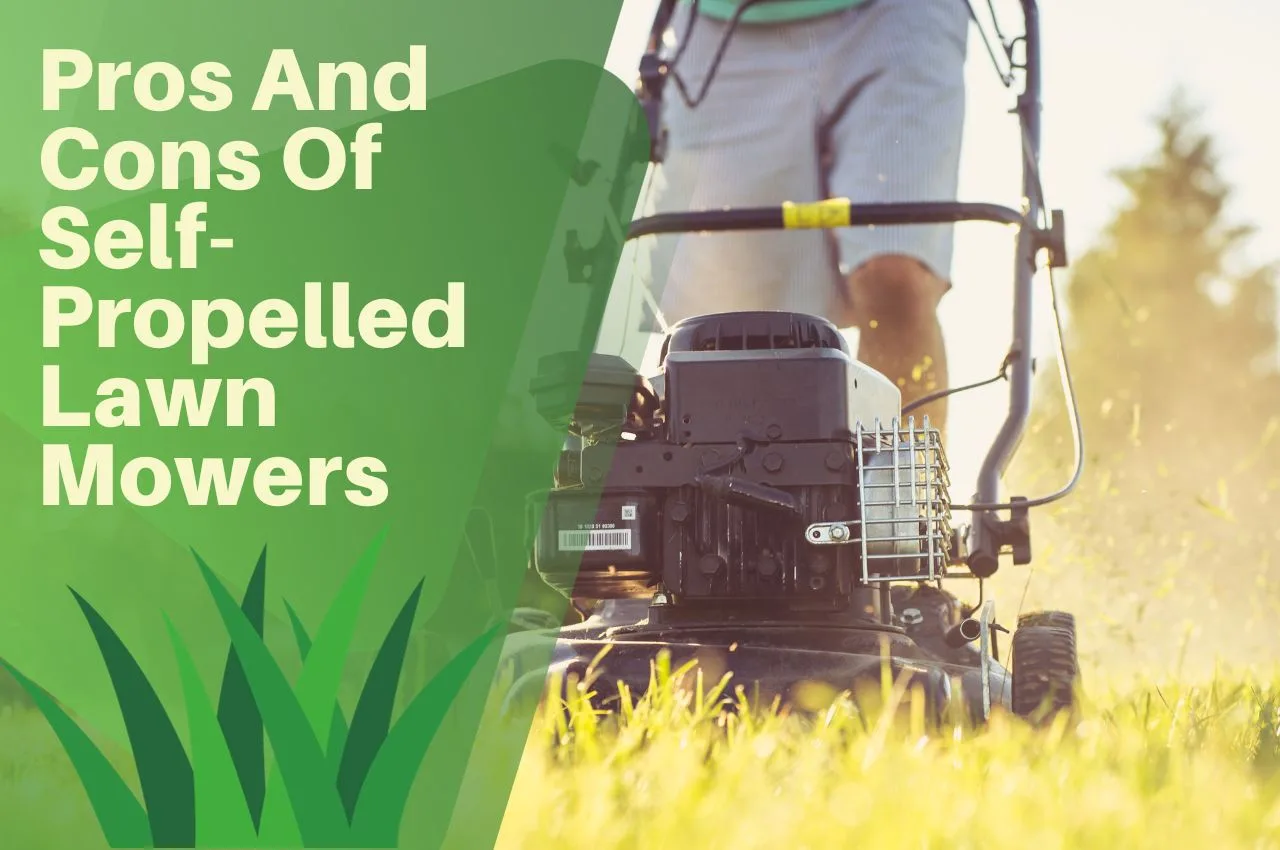 Pros And Cons Of SelfPropelled Lawn Mowers The Turf Doctor