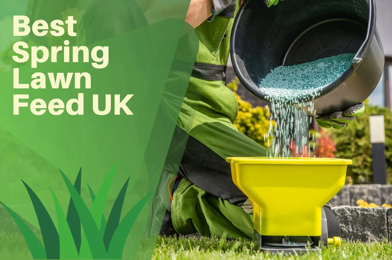 best-spring-lawn-feed-uk-march-2024-the-turf-doctor