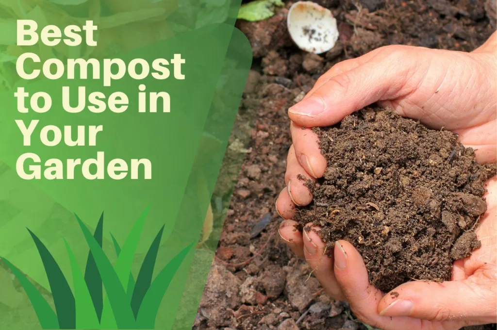 compost, hands, garden, green, fingers, plants, soil,