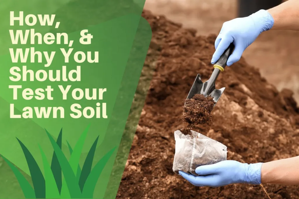 soil, testing,